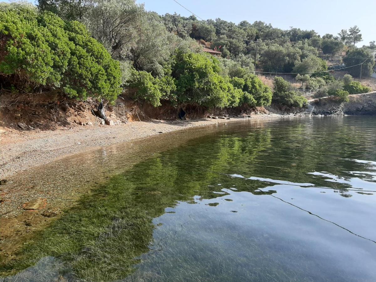 Chiona΄S Apartments By The Sea Paleo Trikeri Luaran gambar
